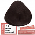 5.7 Светлый фиолетовый шатен