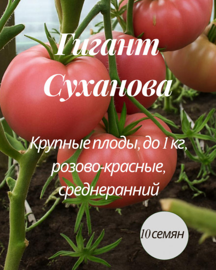 Коллекционные семена томата «Гигант Суханова»