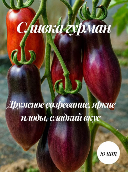 Колекционные семена томата «Сливка гурман»