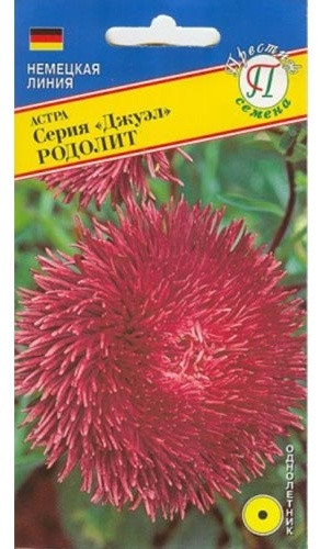 Семена астры «Джуэл Родолит»