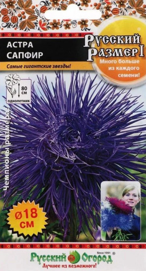 Семена астры «Сапфир»