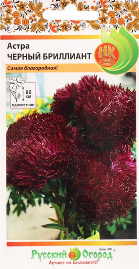 Семена астры «Чёрный бриллиант»