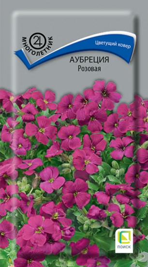 Семена аубреции «Розовый»