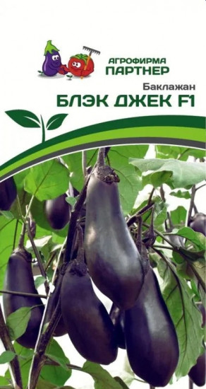 Семена баклажана «Блэк Джек F1»