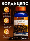 кордицепс
