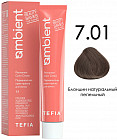 7.01 Блондин натуральный пепельный