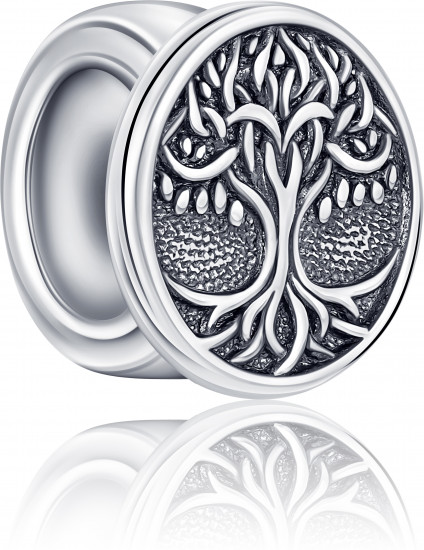 Шарм из серебра