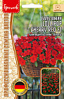 Семена бальзамина Уоллера «Lollipop Cherry Red F1»