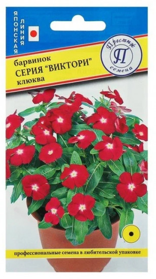Семена барвинка «Виктори Клюква»
