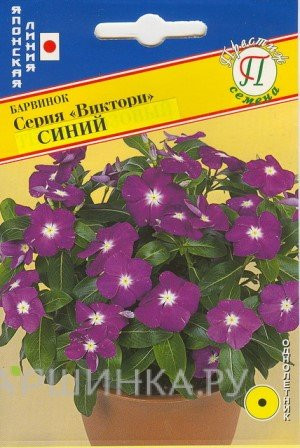Семена барвинка «Виктори Синий»