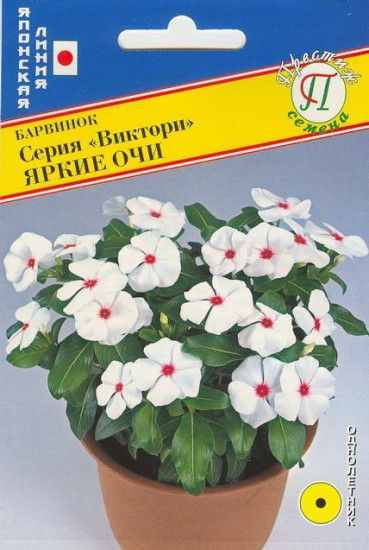 Семена барвинка «Виктори Яркие очи»