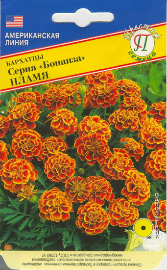 Семена бархатцев «Бонанза Пламя»