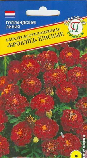 Семена бархатцев «Брокэйд Красные»