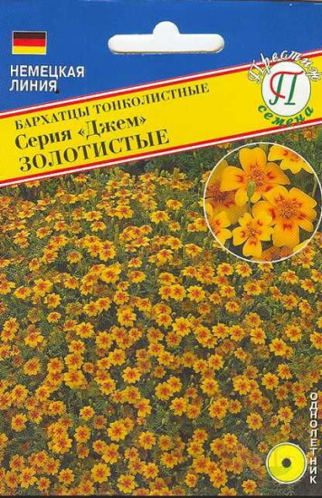 Семена бархатцев «Джем Золотистые тонколистные»