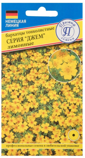 Семена бархатцев «Джем Лимонные тонколистные»