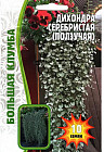Семена дихондры «Серебристая ползучая»