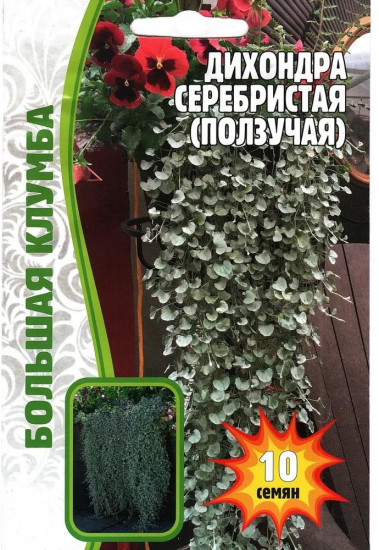 Семена дихондры «Серебристая ползучая»