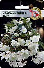 Семена бегонии клубневой ампельной «Иллюминейшн F1 Вайт»