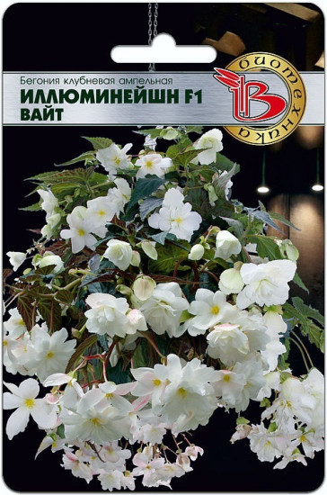 Семена бегонии клубневой ампельной «Иллюминейшн F1 Вайт»