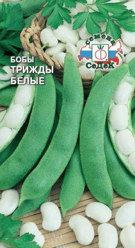 Семена бобов «Трижды белый»