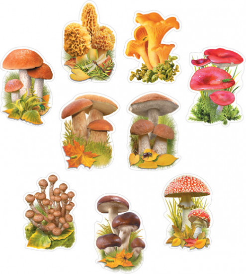 Набор вырубных фигурок для оформления интерьера «Грибная коллекция»