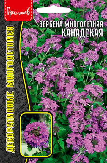 Семена вербены «Канадская»