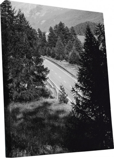 Картина «Дальняя дорога»