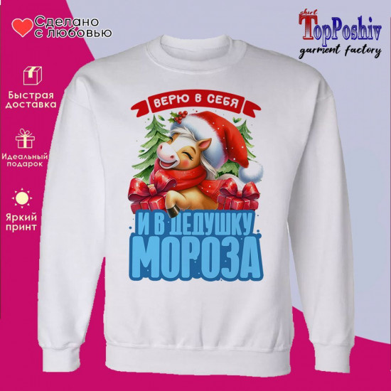 Свитшот с принтом «Верю в себя и в деда Мороза 2026»
