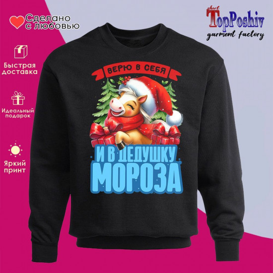 Свитшот с принтом «Верю в себя и в деда Мороза 2026»