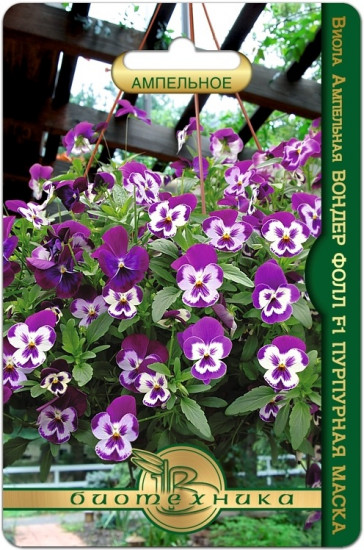 Семена виолы «Вондер Фолл F1 Пурпурная Маска»