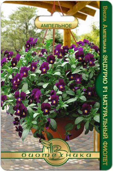 Семена виолы «Эндурио F1 Натуральный Фиолет»