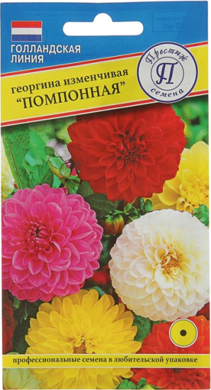 Семена георгины «Помпонная смесь»