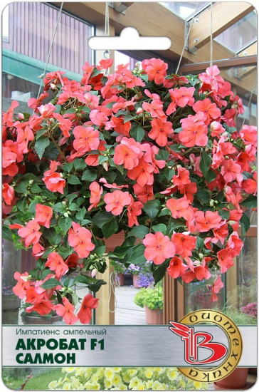 Семена импатиенса ампельного «Акробат F1 Салмон»