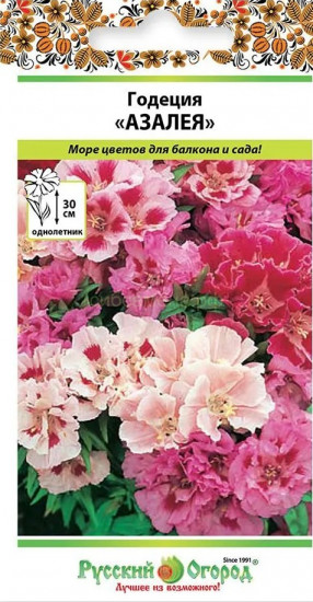 Семена годеции «Азалея смесь»