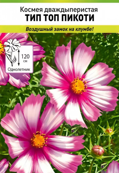 Семена космеи «Тип Топ Пикоти»