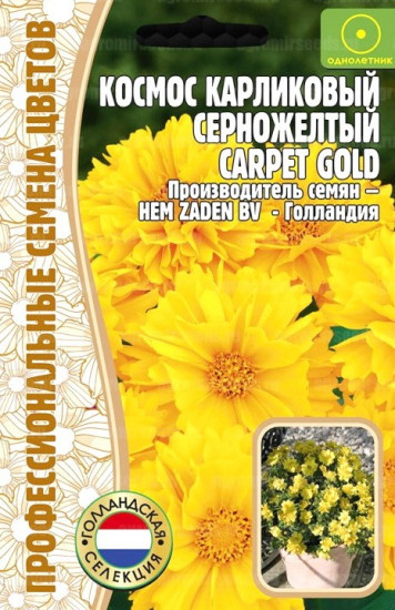 Семена космоса карликового «Carpet Gold серно-жёлтый»