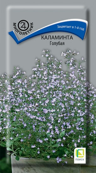 Семена каламинты «Голубая»