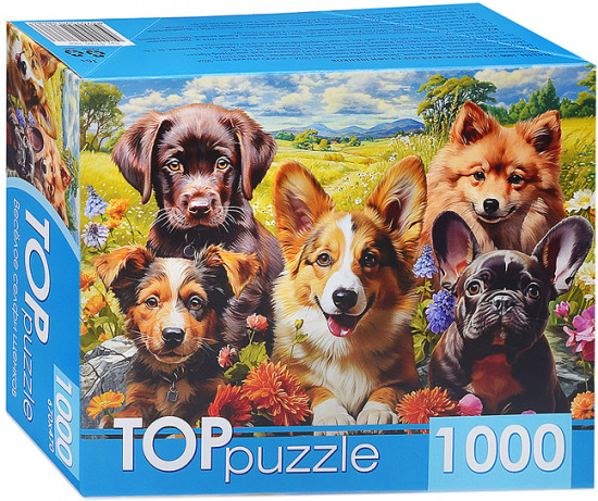 Пазл «Веселое селфи щенков»