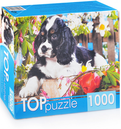 Пазл «Щенок спаниеля в саду»