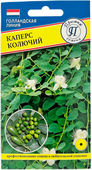 Семена каперсов колючих