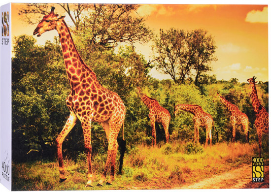 Пазл «Южноафриканские жирафы»