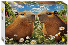 Пазл «Капибары»