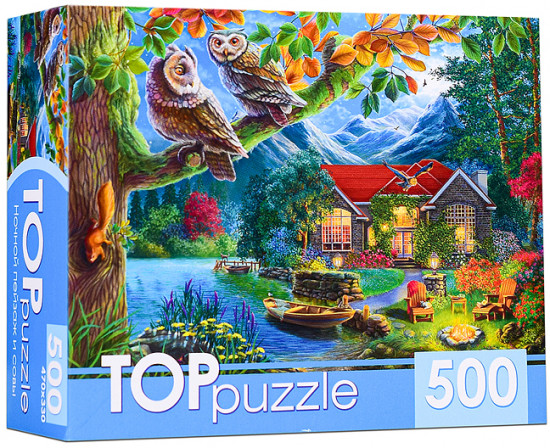 Пазл «Ночной пейзаж и совы»