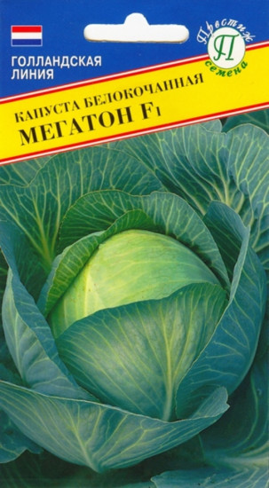 Семена капусты белокочанной «Мегатон F1»