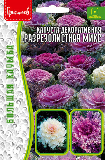 Семена капусты декоративной «Разрезолистная микс»