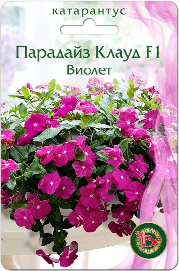 Семена катарантуса «Парадайз Клауд F1 Виолет»