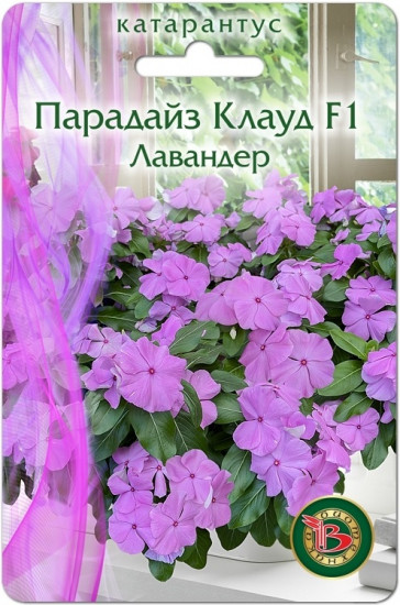 Семена катарантуса «Парадайз Клауд F1 Лавандер»