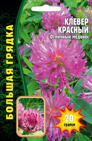 Семена клевера «Красный»