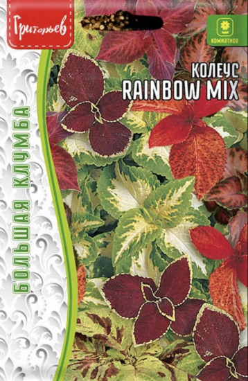 Семена колеуса «Rainbow Mix»