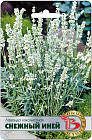 Семена лаванды узколистной «Снежный Иней»